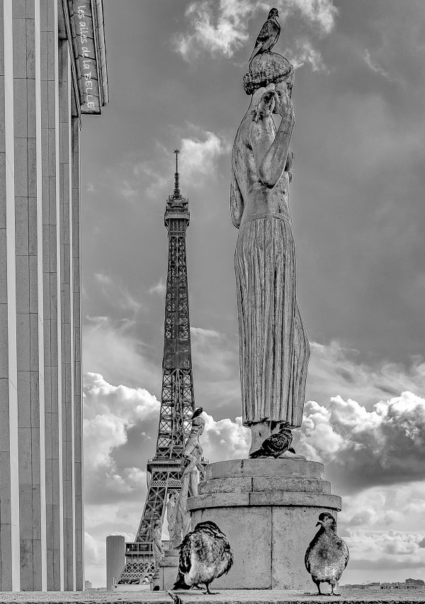 Eiffel tower Paris BNW