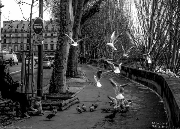 Photo de rue quais de Seine Paris