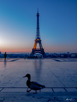 Levé du Soleil Parisien Levé du Soleil Parisien