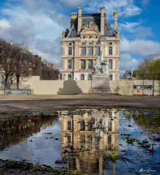 Le plus beau des reflets, jardin des Tuileries Le plus beau des reflets, jardin des Tuileries