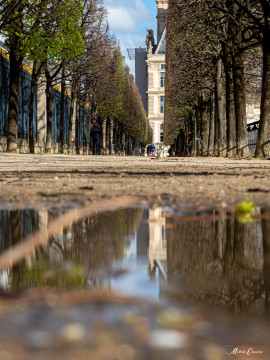 Réflexions aux Tuileries Réflexions aux Tuileries