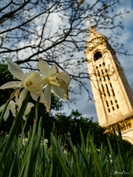 Escapade classique à Montmartre Escapade classique à Montmartre