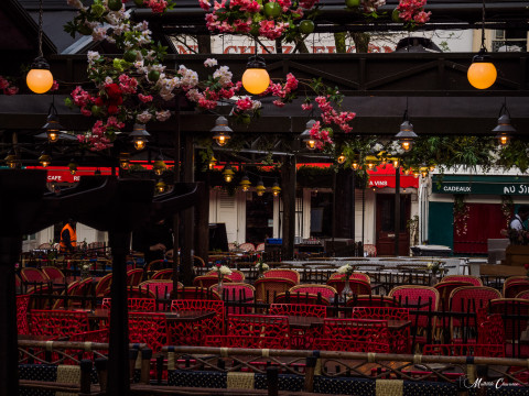 Vitrine fleuries Parisiennes Vitrine fleuries Parisiennes