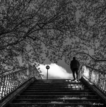 Monter au sommet Monter au sommet